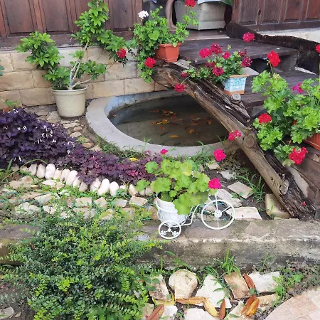 Szálloda Santorini Szveti Vlasz